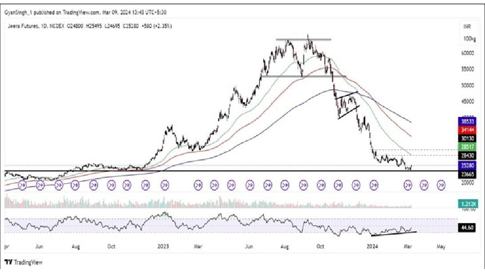 Jeera Future Price Predictions
