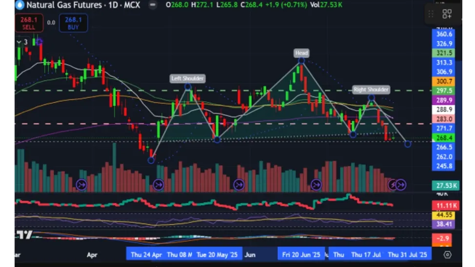Natural Gas Price Prediction for Next Week (28th  July - 1st August 2025)