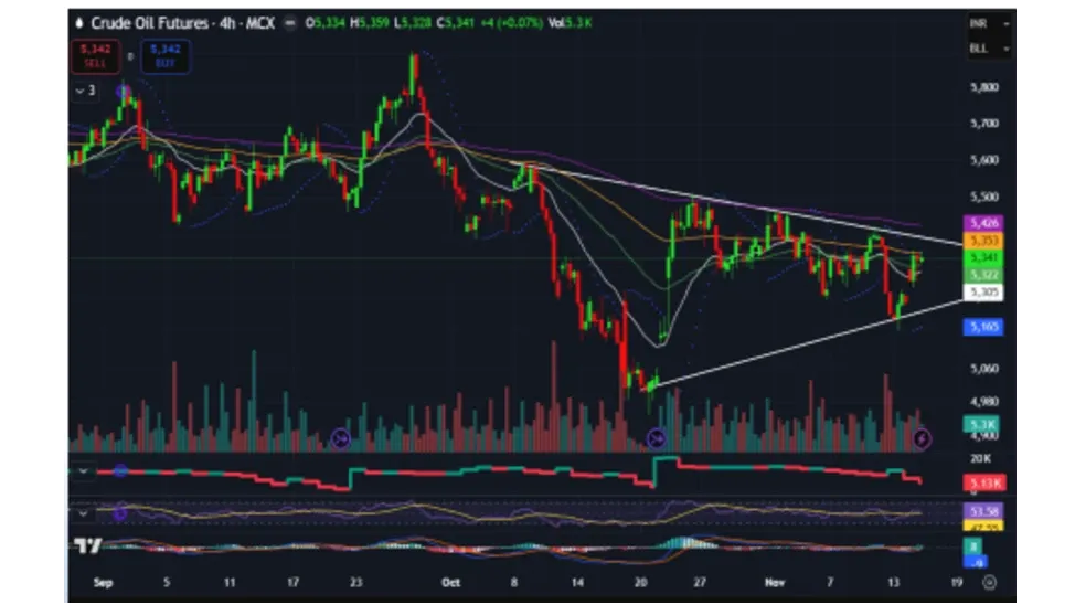 Crude Oil Price Forecast for Next Week (17th - 21st November 2025)