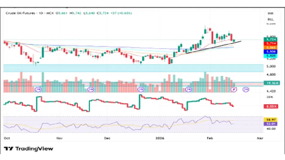 Crude Oil Price Forecast for Next Week (16th - 20th February 2026)