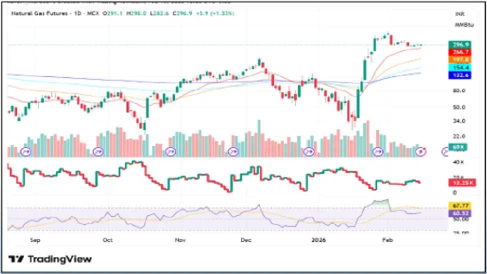 Natural Gas Price Prediction for Next Week (16th - 20th February 2026)