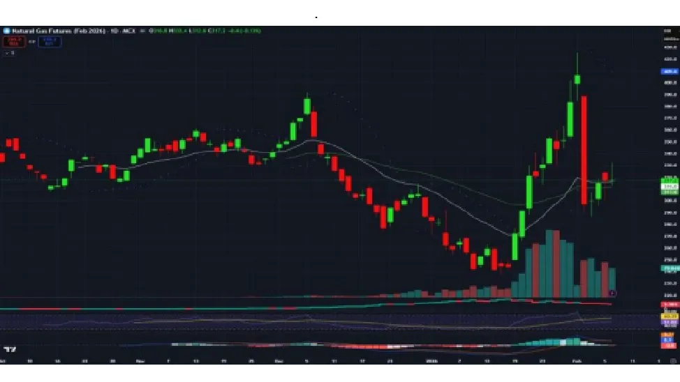 Natural Gas Price Prediction for Next Week (9th - 13th February 2026)